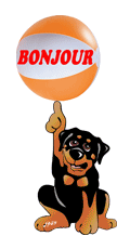 Gif animé bonjour chien